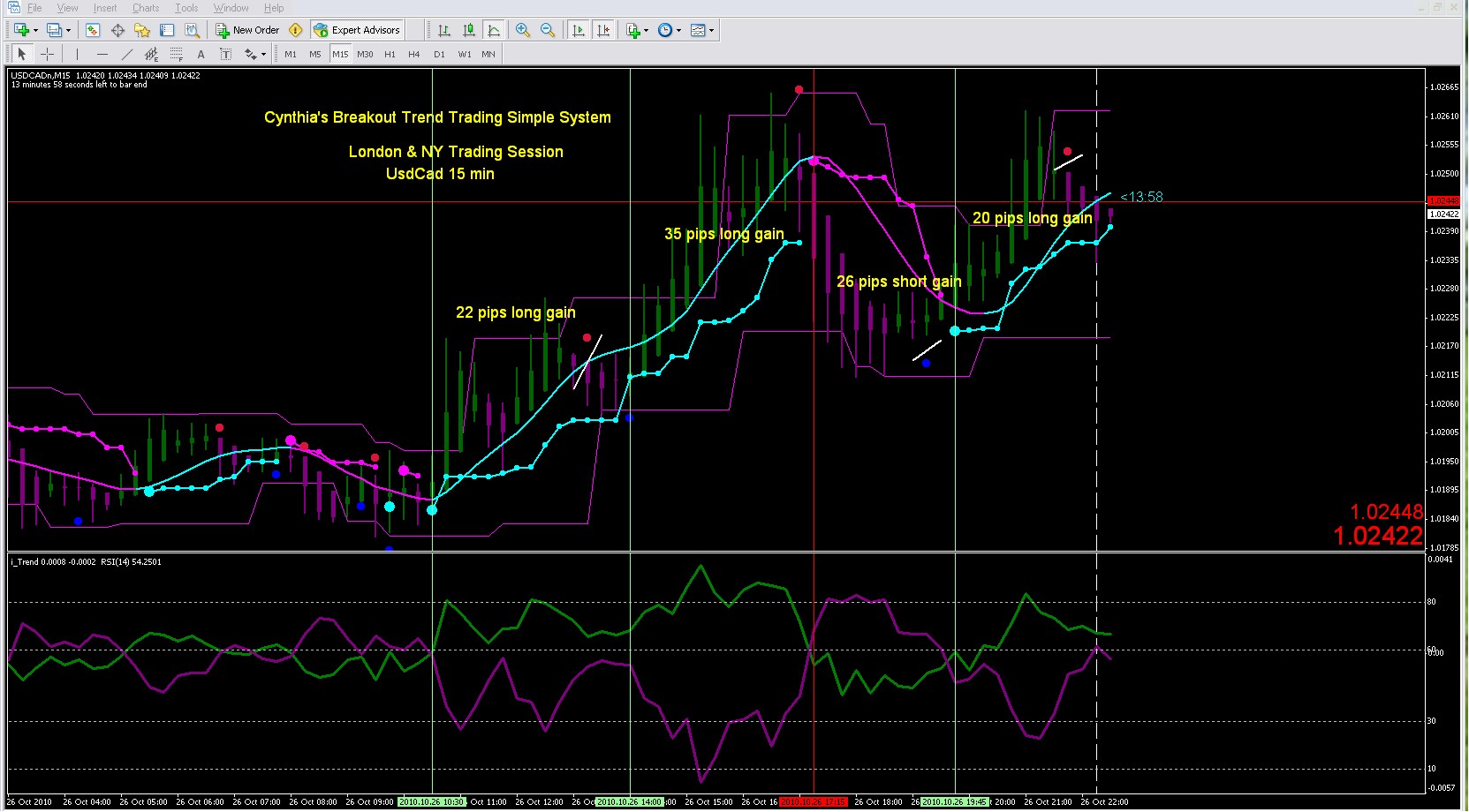 Are You a Forex Newbie?